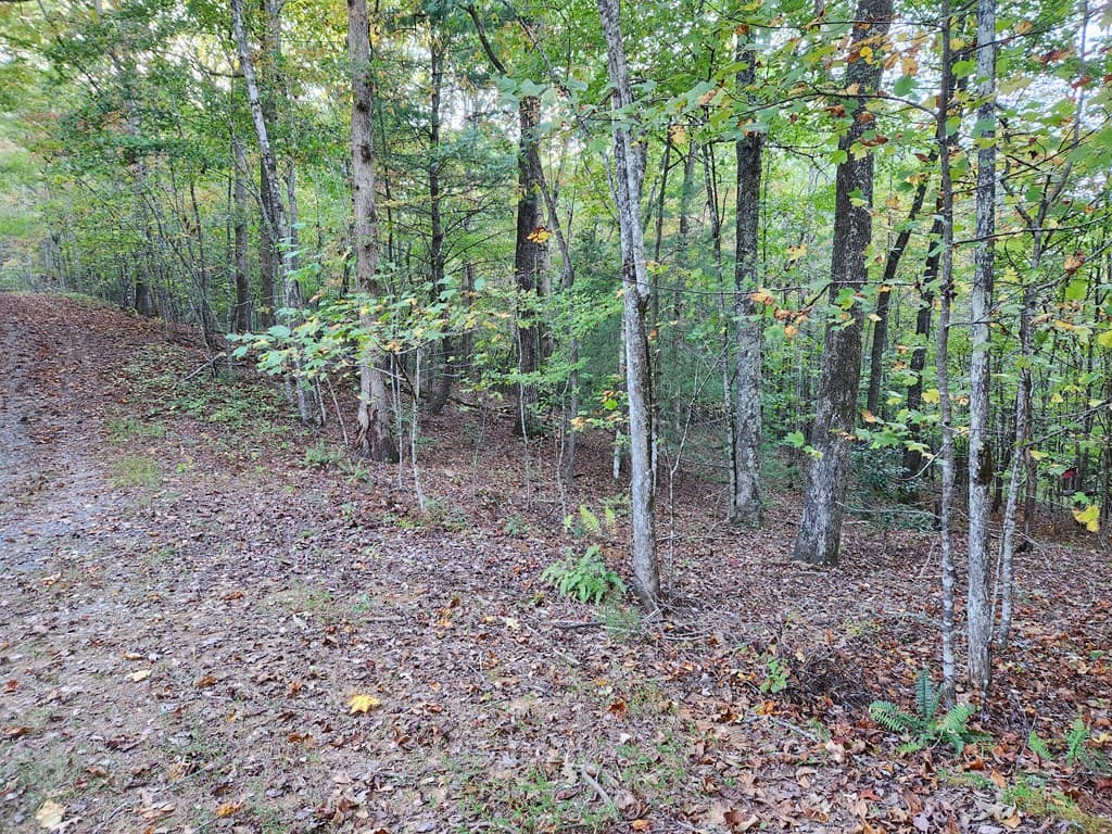 0 North View Trail, Mineral Bluff GA 30559 - Photo