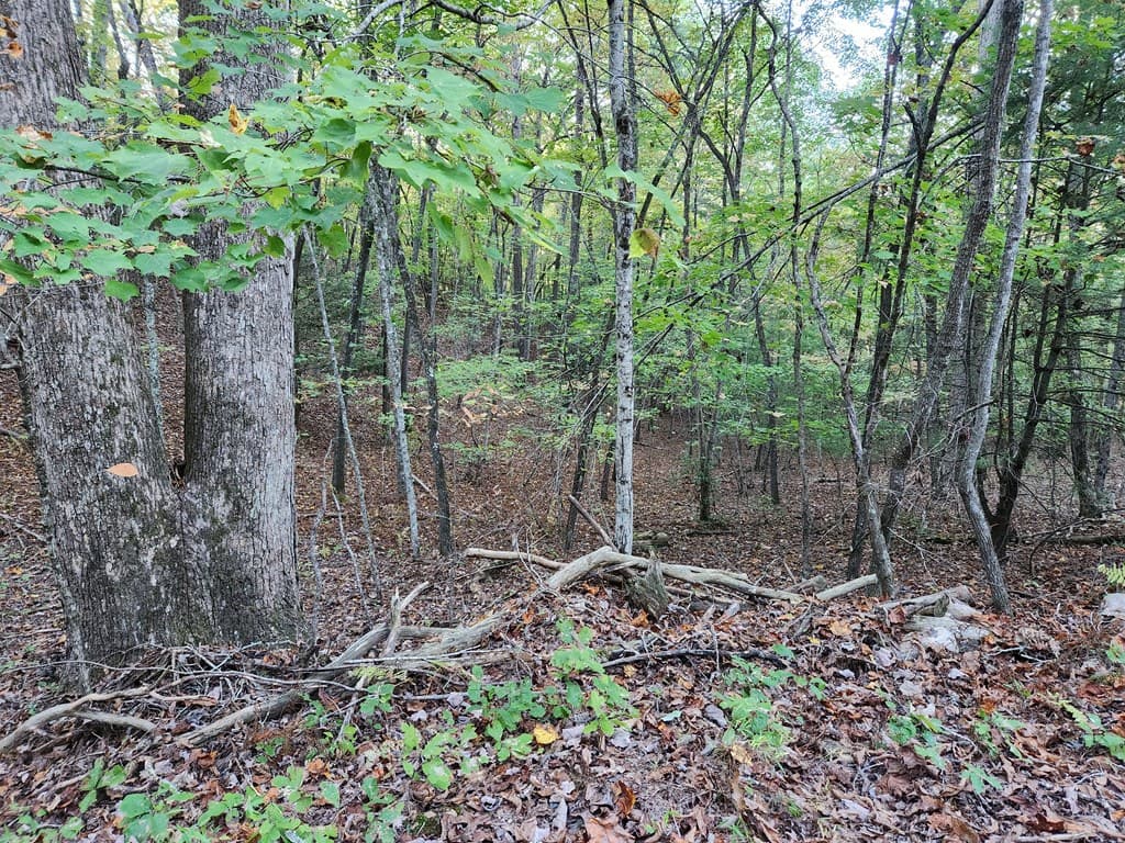 0 North View Trail, Mineral Bluff GA 30559 - Photo