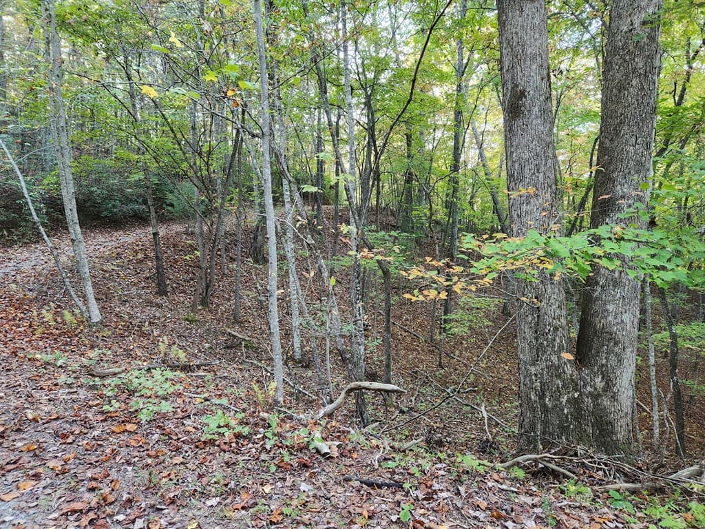0 North View Trail, Mineral Bluff GA 30559 - Photo
