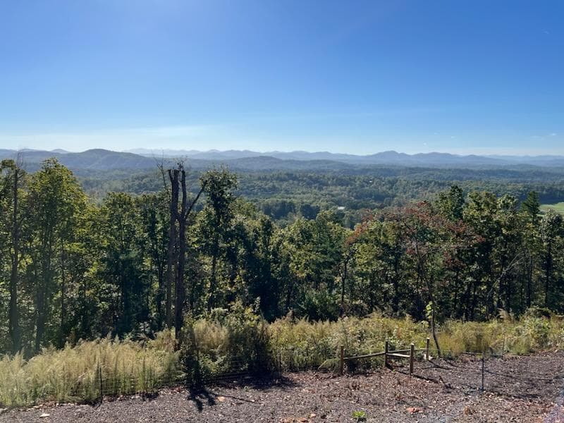 NA Piney Road, Mineral Bluff GA 30559 - Photo
