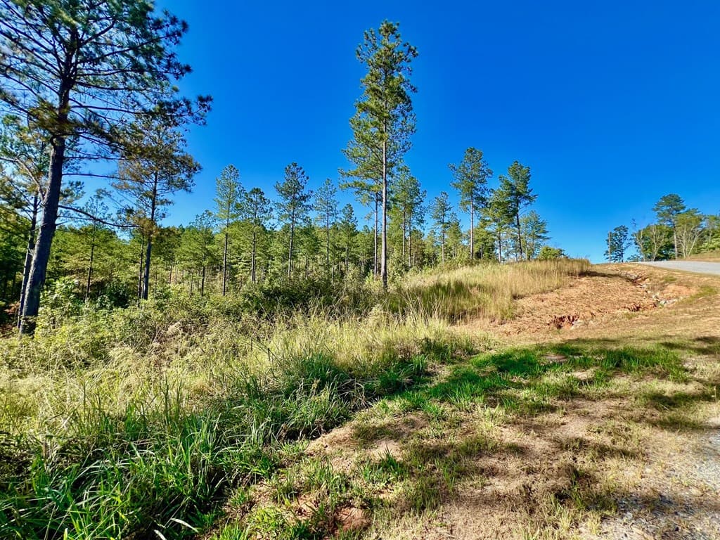 82 Barrell Knot Court, Talking Rock GA 30175 - Photo