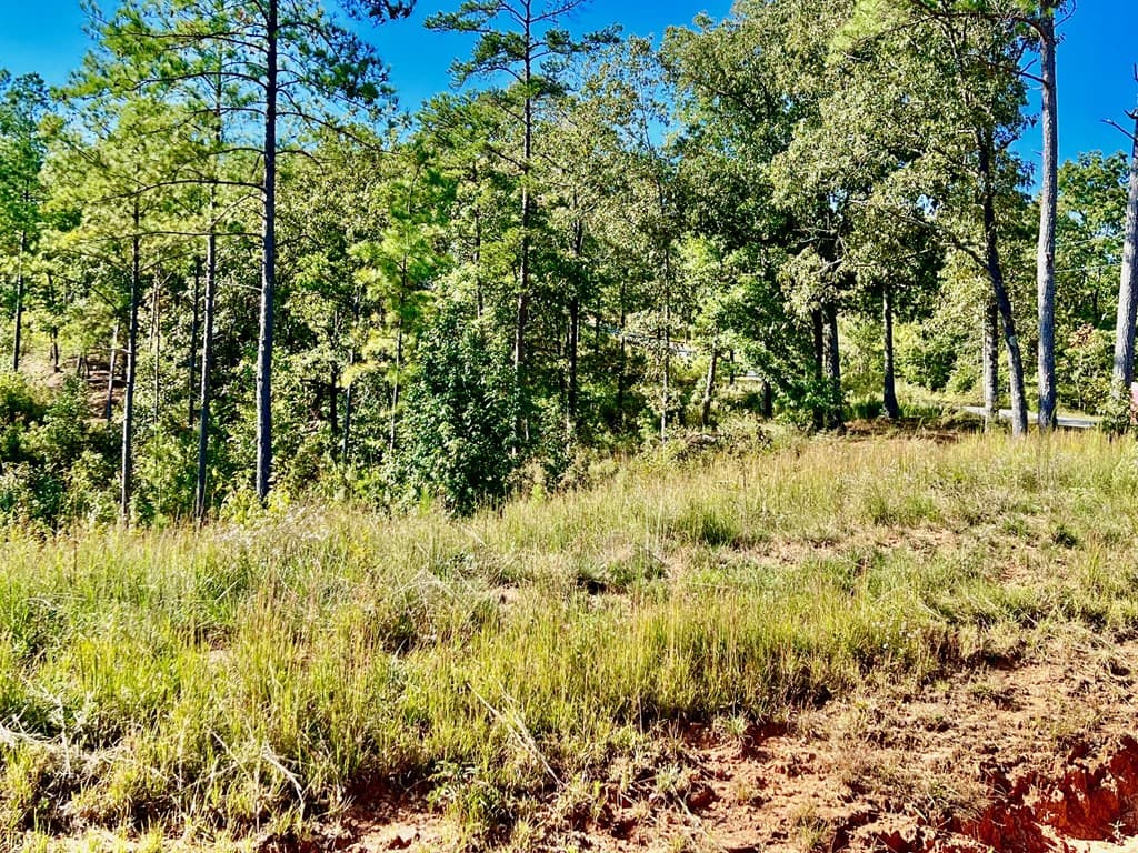 82 Barrell Knot Court, Talking Rock GA 30175 - Photo