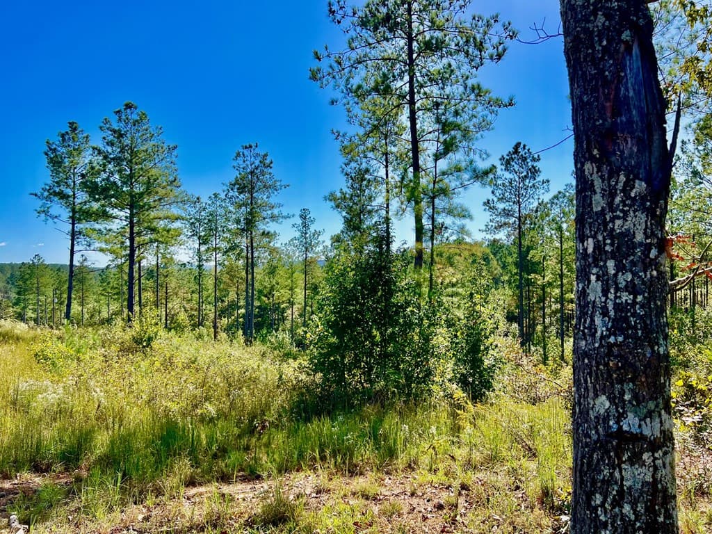 82 Barrell Knot Court, Talking Rock GA 30175 - Photo