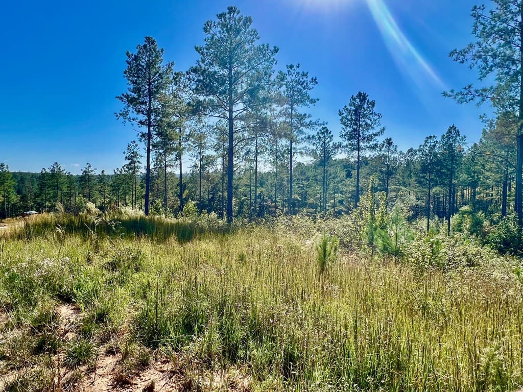 82 Barrell Knot Court, Talking Rock GA 30175 - Photo