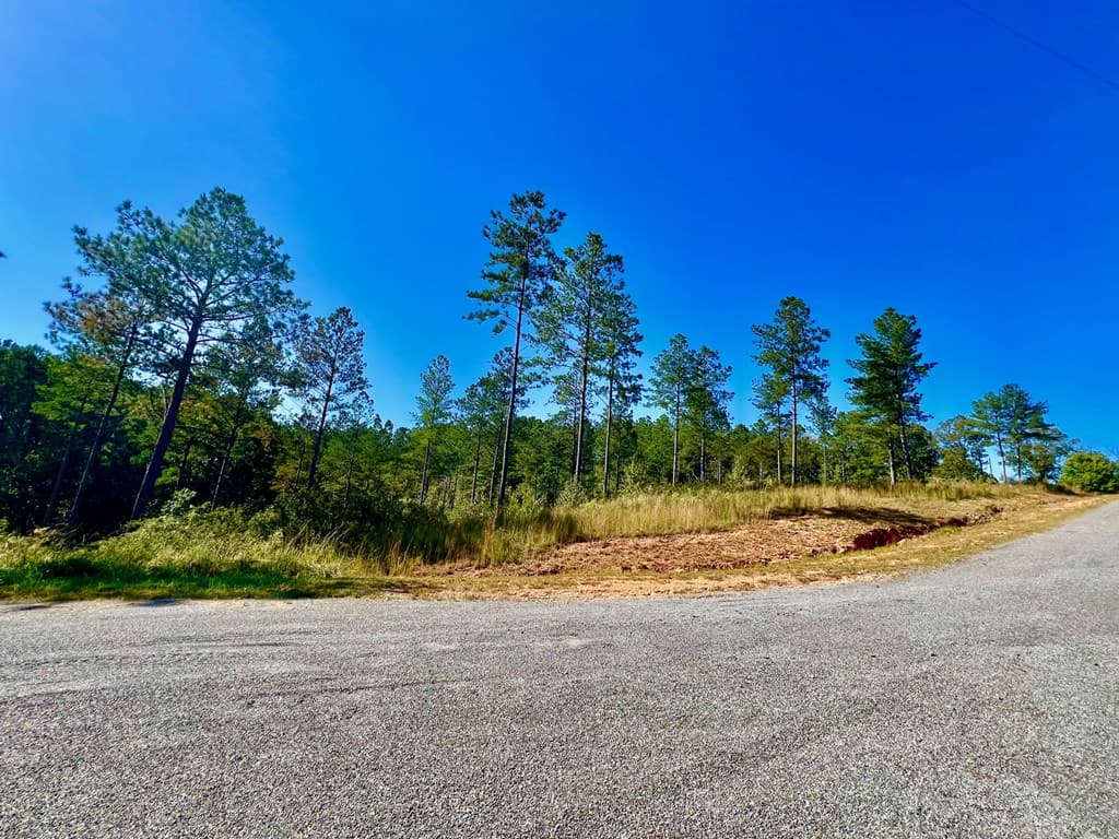 82 Barrell Knot Court, Talking Rock GA 30175 - Photo