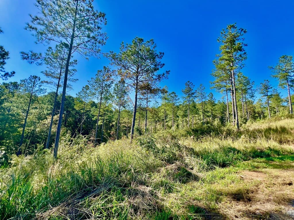82 Barrell Knot Court, Talking Rock GA 30175 - Photo