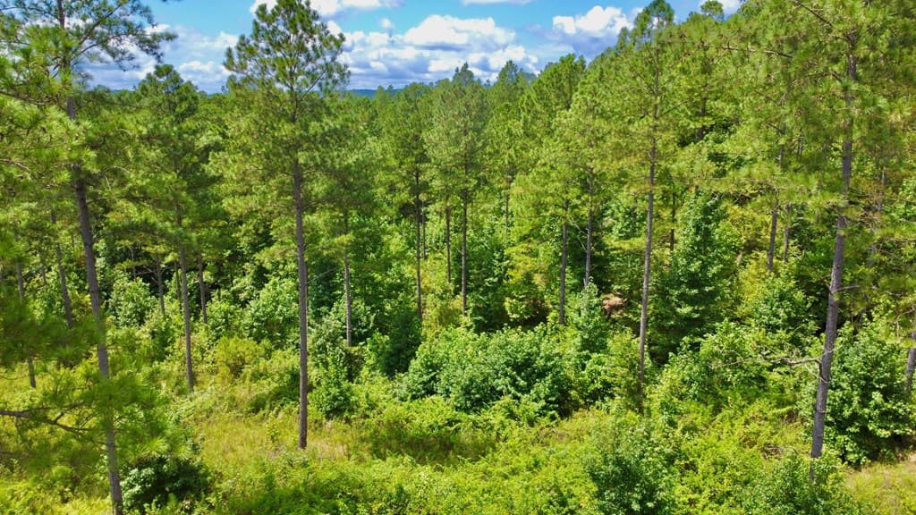 82 Barrell Knot Court, Talking Rock GA 30175 - Photo