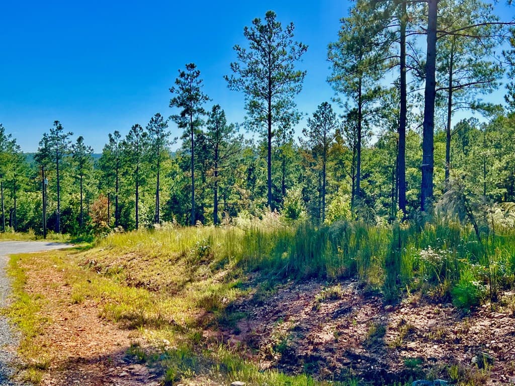 82 Barrell Knot Court, Talking Rock GA 30175 - Photo