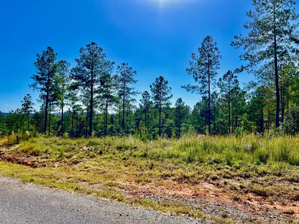 82 Barrell Knot Court, Talking Rock GA 30175 - Photo