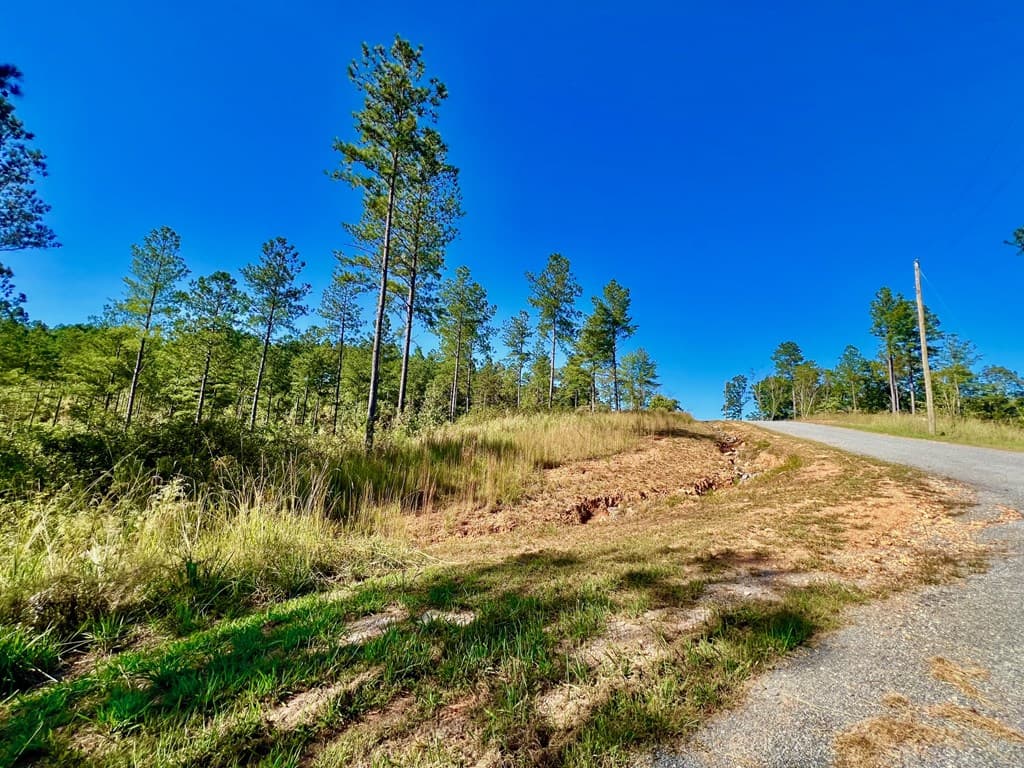 82 Barrell Knot Court, Talking Rock GA 30175 - Photo