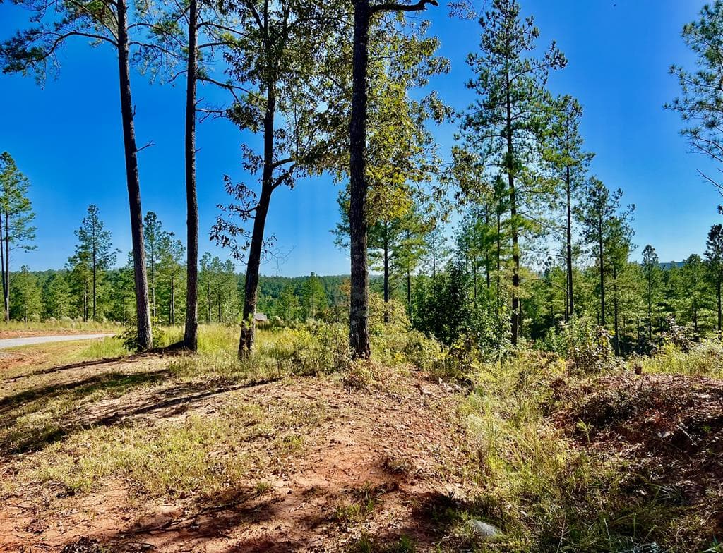 82 Barrell Knot Court, Talking Rock GA 30175 - Photo