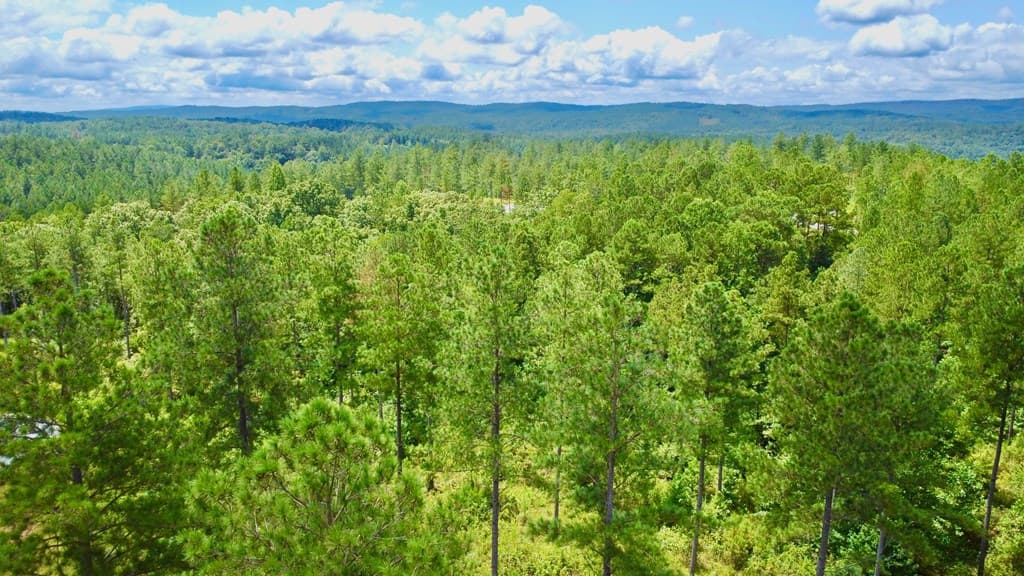82 Barrell Knot Court, Talking Rock GA 30175 - Photo