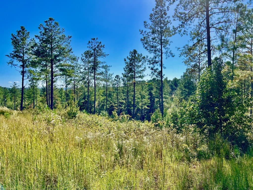 82 Barrell Knot Court, Talking Rock GA 30175 - Photo