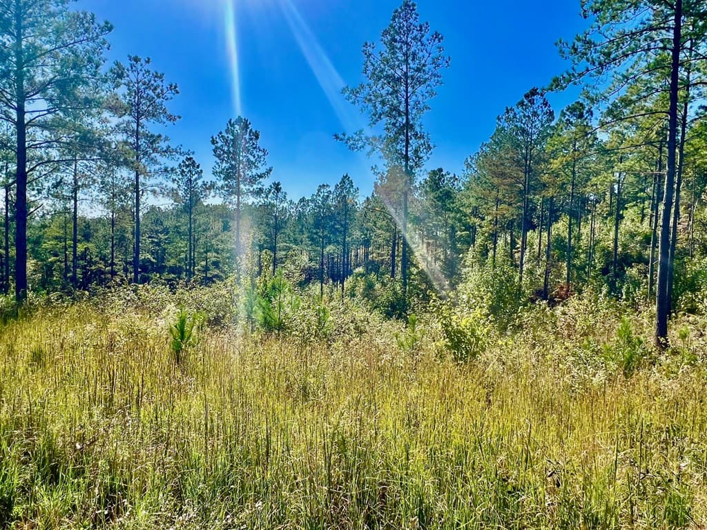 82 Barrell Knot Court, Talking Rock GA 30175 - Photo