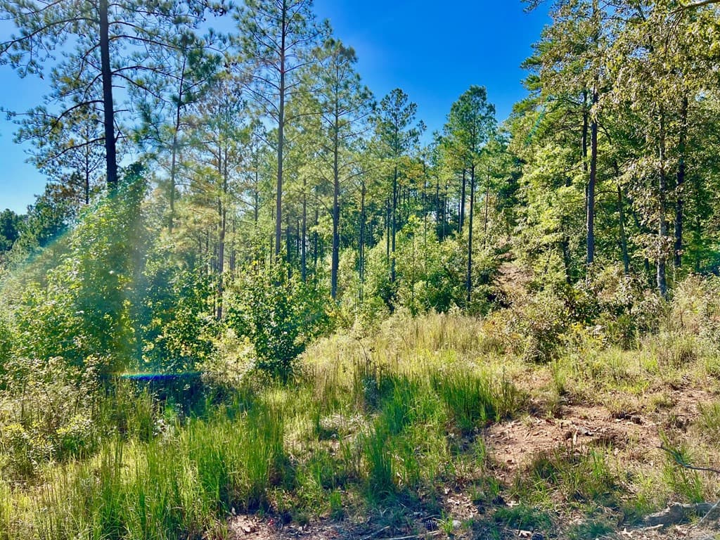 82 Barrell Knot Court, Talking Rock GA 30175 - Photo