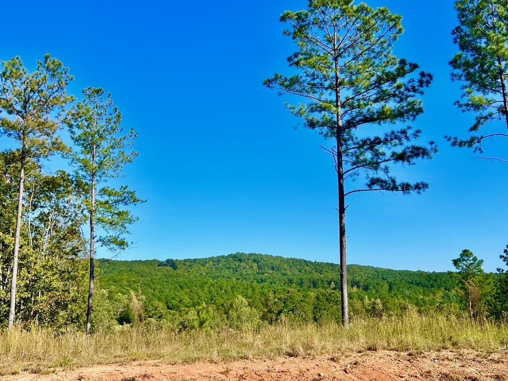 82 Barrell Knot Court, Talking Rock GA 30175 - Photo
