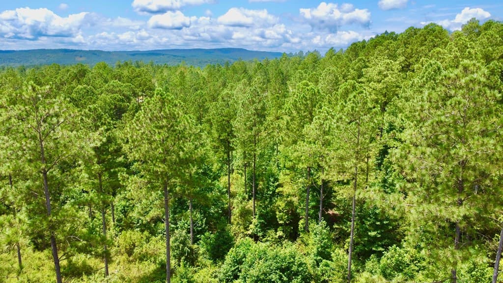82 Barrell Knot Court, Talking Rock GA 30175 - Photo