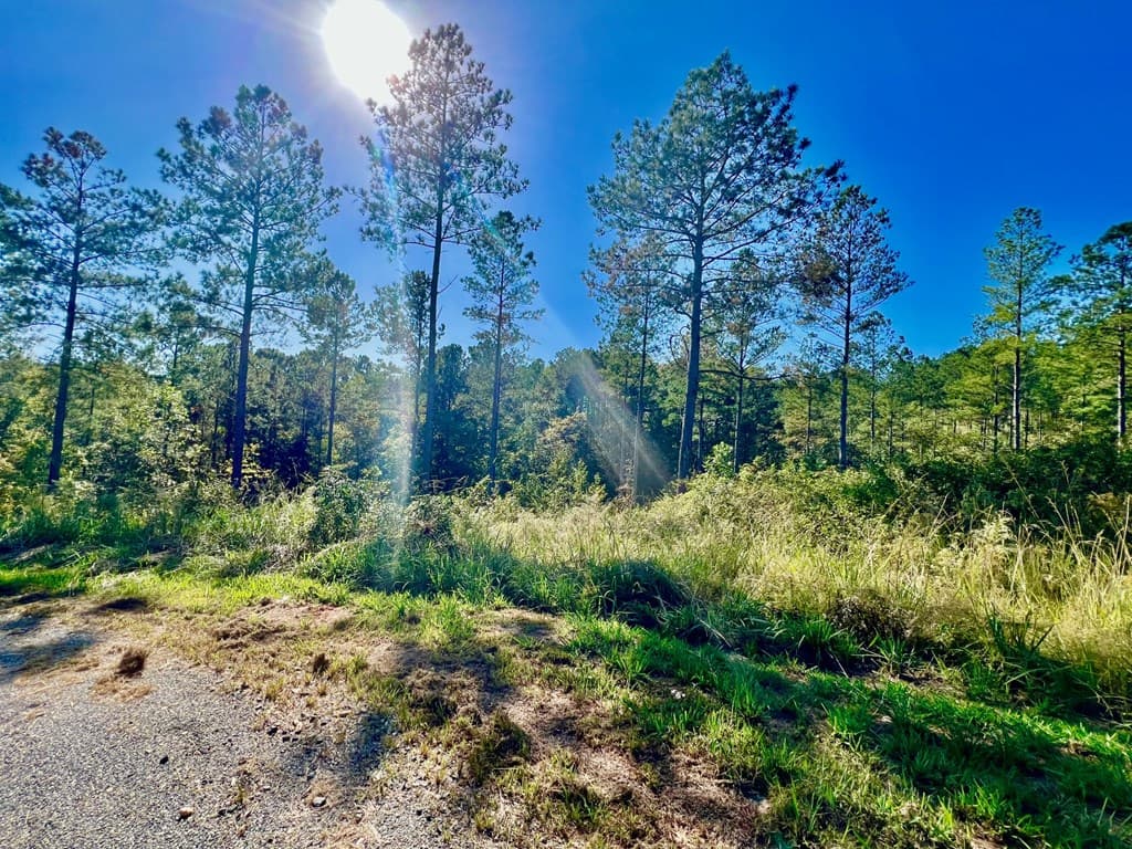 82 Barrell Knot Court, Talking Rock GA 30175 - Photo