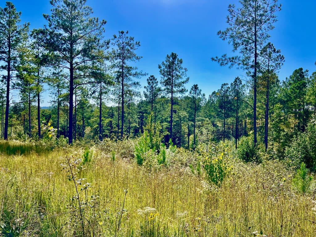 82 Barrell Knot Court, Talking Rock GA 30175 - Photo