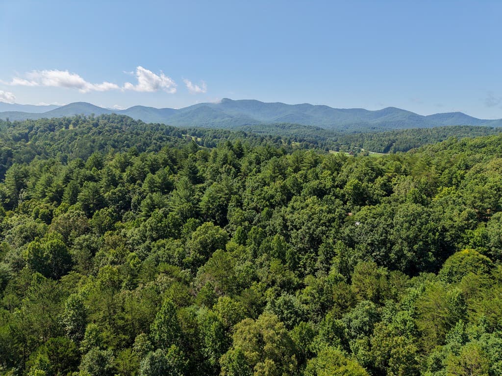 Lot 6 Willow Ridge, Warne NC 28909 - Photo