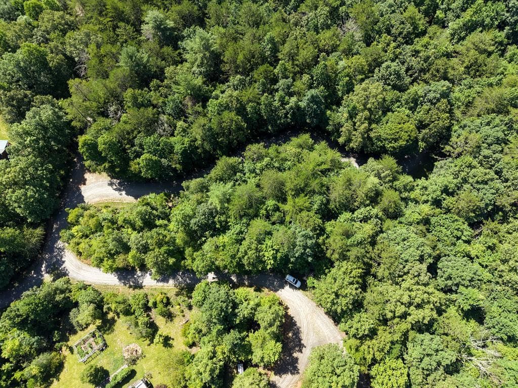 Lot 6 Willow Ridge, Warne NC 28909 - Photo