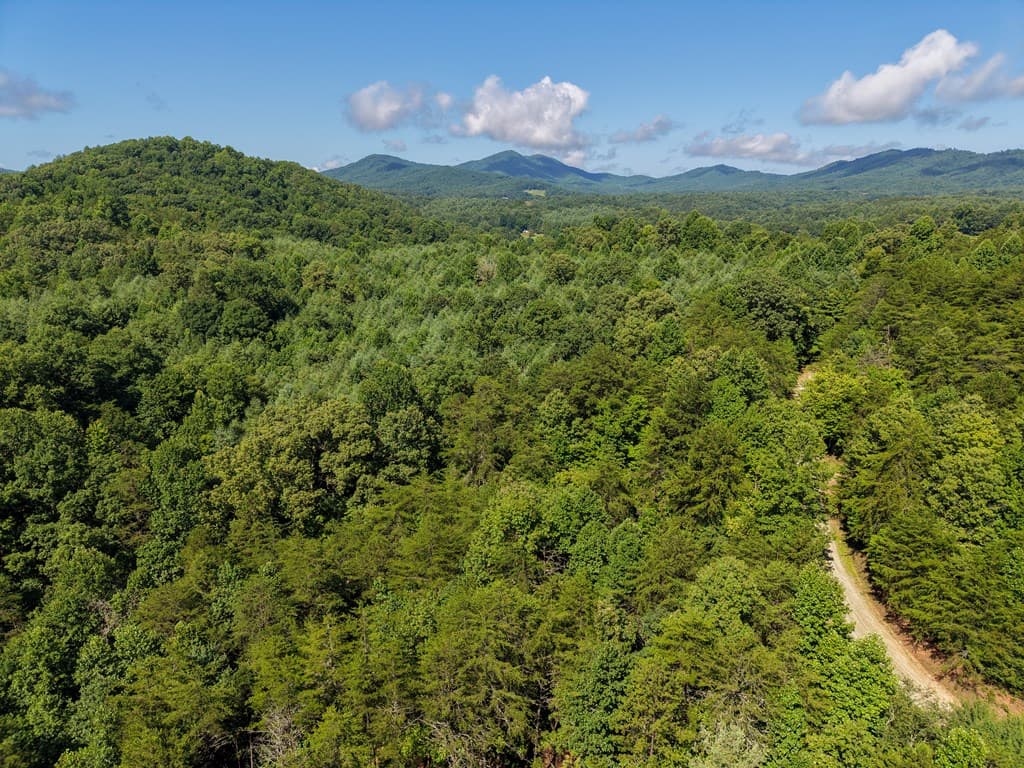 Lot 6 Willow Ridge, Warne NC 28909 - Photo