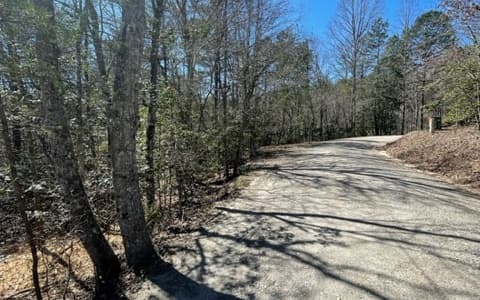 Lot 6 Willow Ridge, Warne NC 28909 - Photo