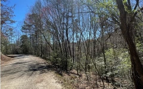 Lot 6 Willow Ridge, Warne NC 28909 - Photo