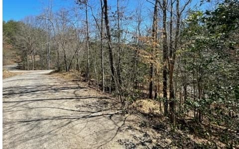 Lot 6 Willow Ridge, Warne NC 28909 - Photo