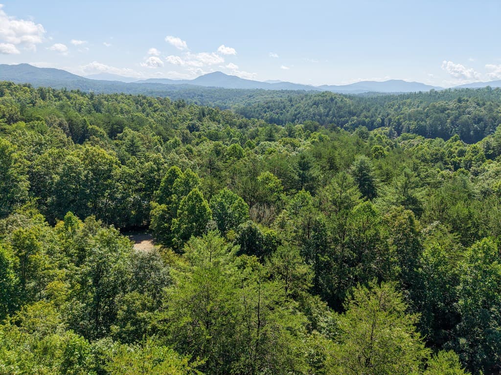 Lot 6 Willow Ridge, Warne NC 28909 - Photo