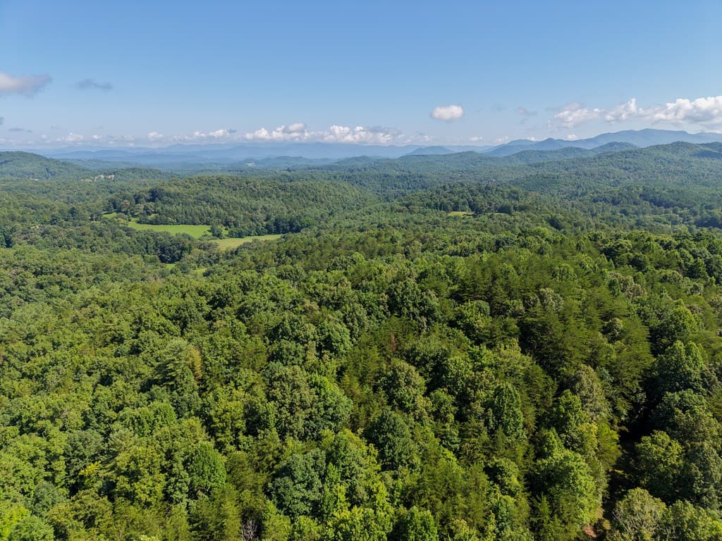 Lot 6 Willow Ridge, Warne NC 28909 - Photo