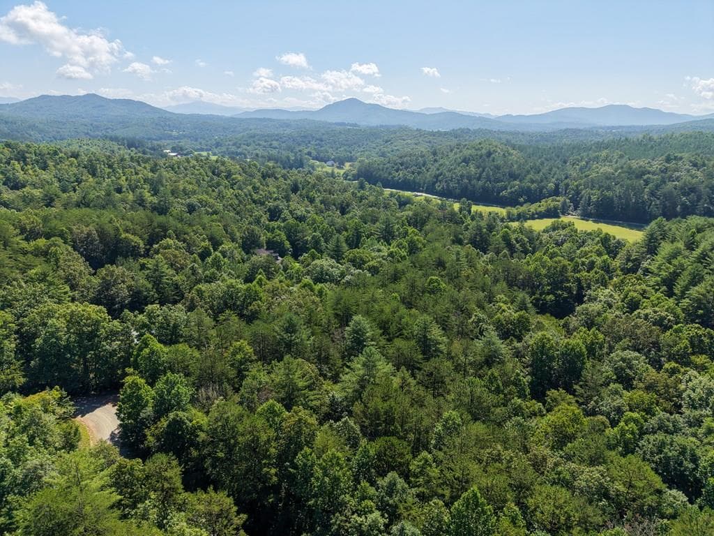 Lot 6 Willow Ridge, Warne NC 28909 - Primary photo