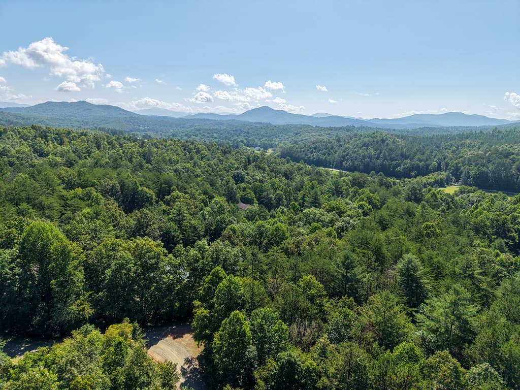 Lot 6 Willow Ridge, Warne NC 28909 - Photo