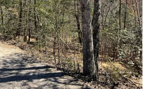 Lot 6 Willow Ridge, Warne NC 28909 - Photo