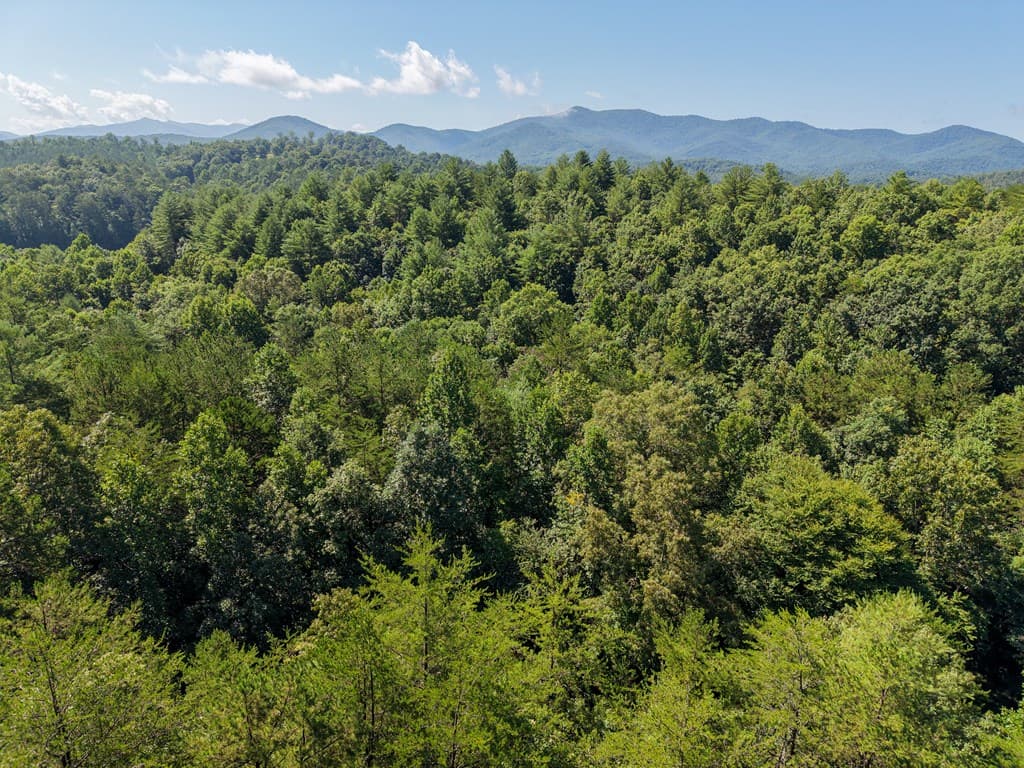 Lot 6 Willow Ridge, Warne NC 28909 - Photo