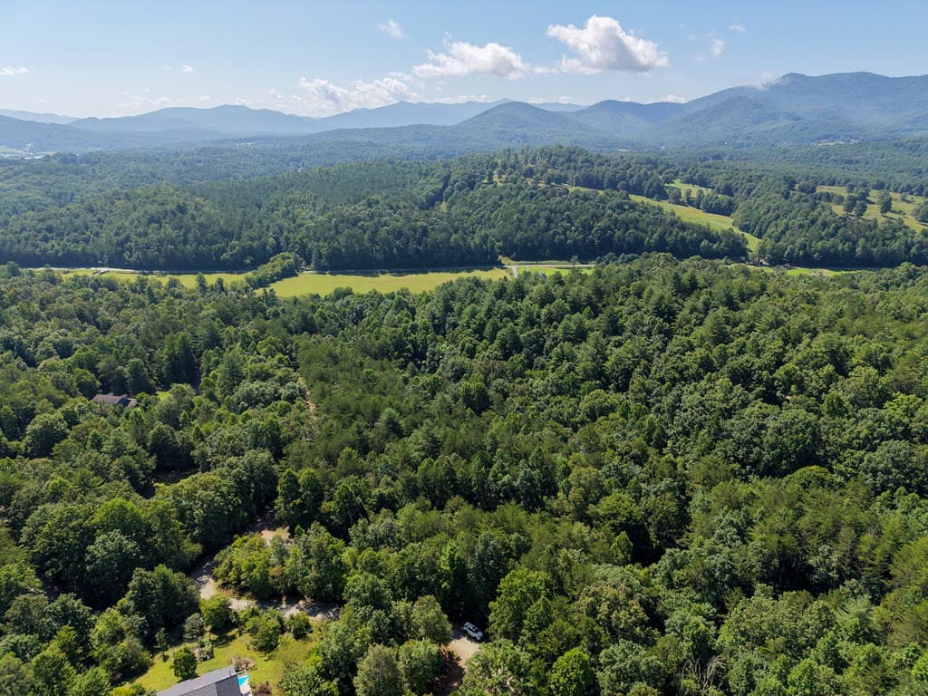 Lot 6 Willow Ridge, Warne NC 28909 - Photo