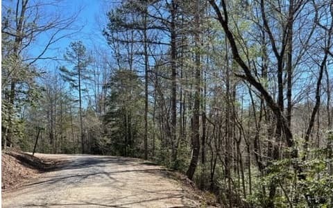 Lot 6 Willow Ridge, Warne NC 28909 - Photo