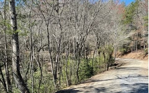 Lot 6 Willow Ridge, Warne NC 28909 - Photo
