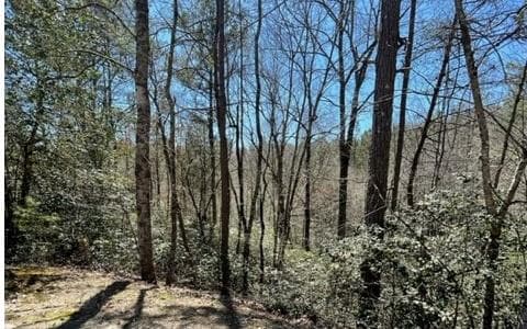 Lot 6 Willow Ridge, Warne NC 28909 - Photo