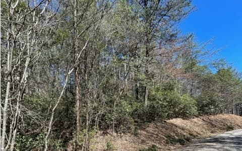 Lot 6 Willow Ridge, Warne NC 28909 - Photo