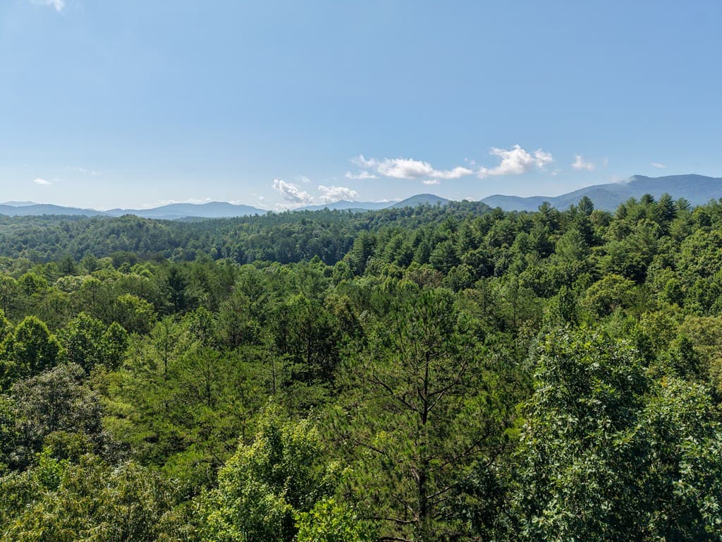Lot 6 Willow Ridge, Warne NC 28909 - Photo