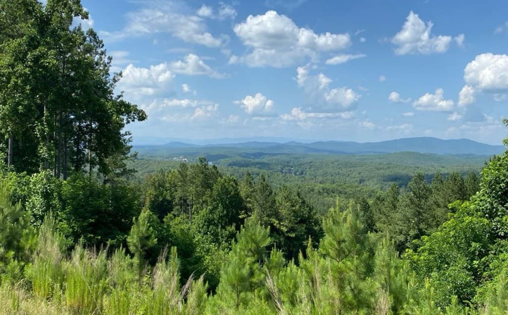 LOT 251 Ridge Pointe Way, Blairsville GA 30512 - Photo