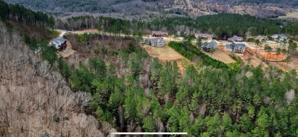 LOT 251 Ridge Pointe Way, Blairsville GA 30512 - Photo