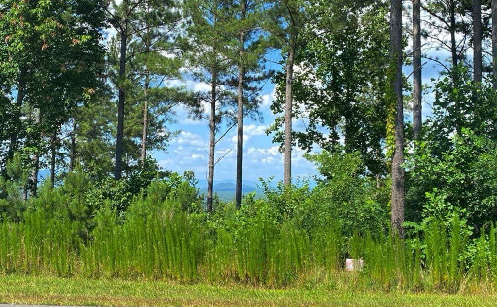 LOT 251 Ridge Pointe Way, Blairsville GA 30512 - Photo