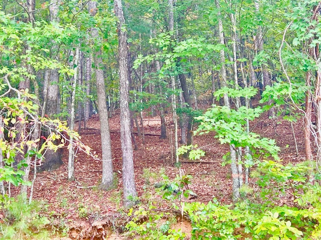 12 Cherokee Drive, Ellijay GA 30540 - Photo