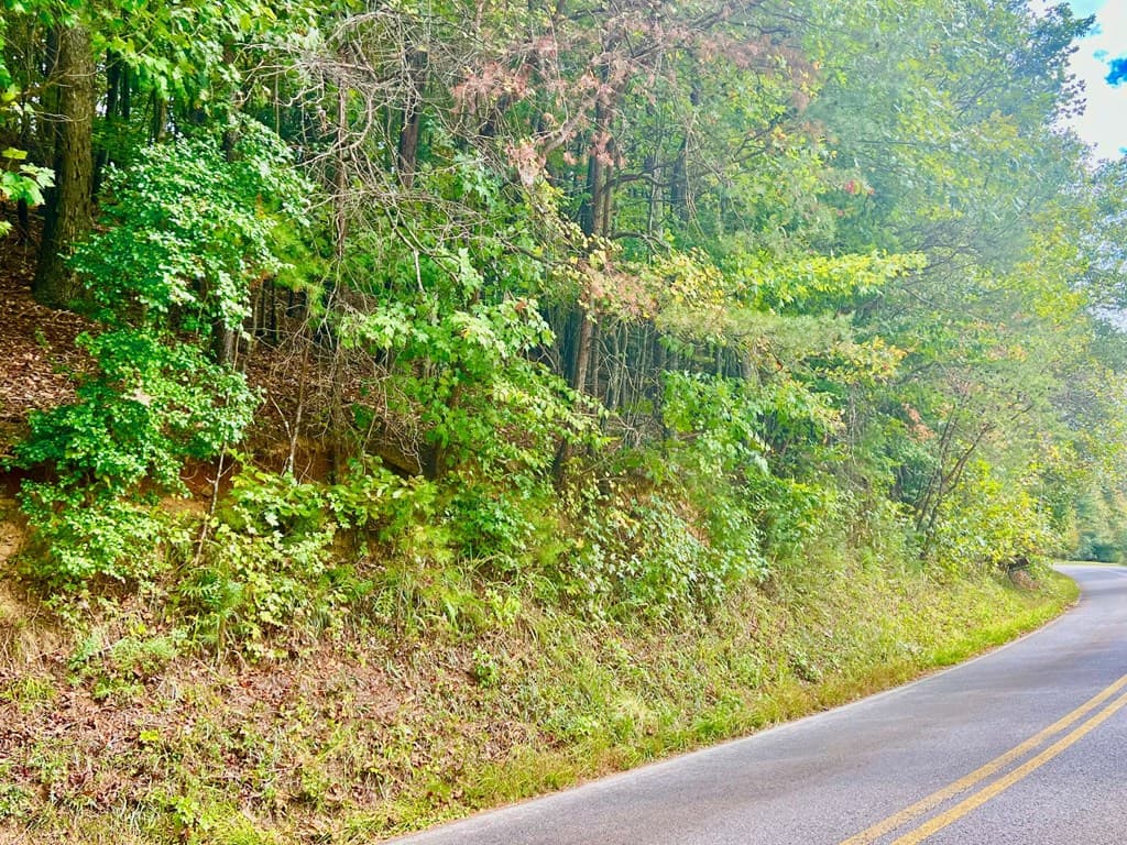 12 Cherokee Drive, Ellijay GA 30540 - Photo