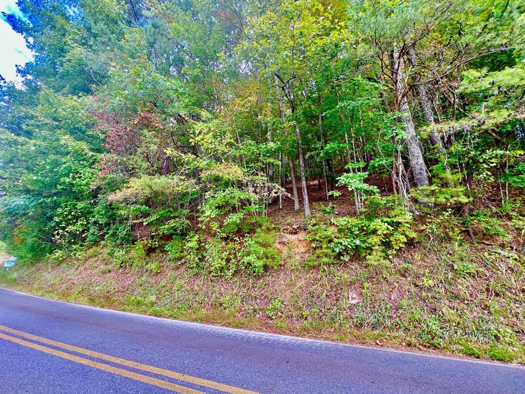12 Cherokee Drive, Ellijay GA 30540 - Photo