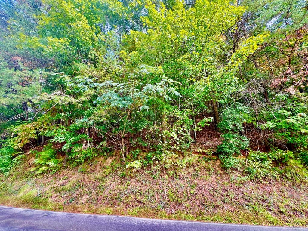 12 Cherokee Drive, Ellijay GA 30540 - Photo