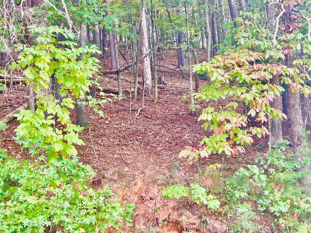 12 Cherokee Drive, Ellijay GA 30540 - Primary photo