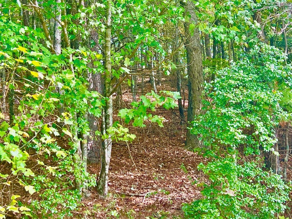 12 Cherokee Drive, Ellijay GA 30540 - Photo